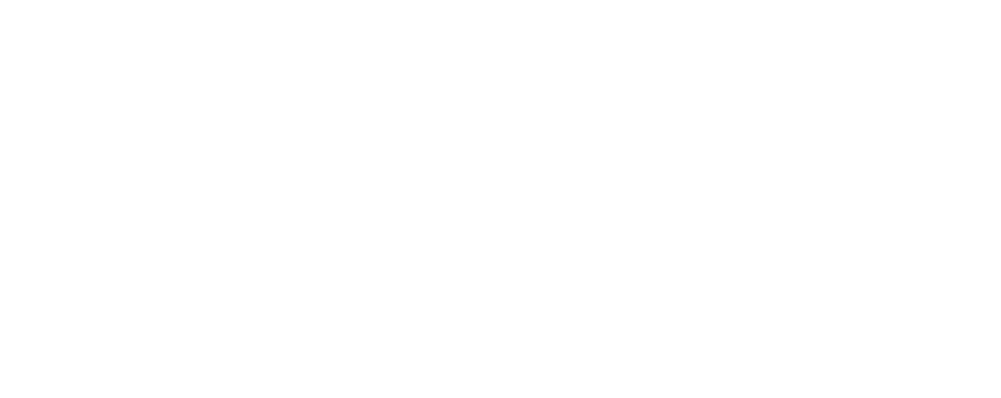 Singh Empire